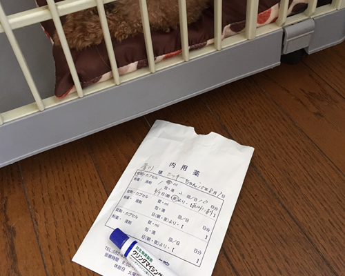 投薬写真