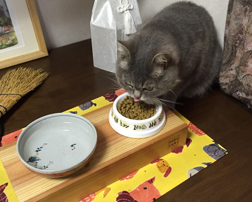 えさ写真