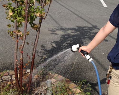 植木の水遣り写真