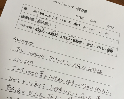 報告写真