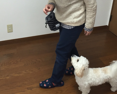その他の介在療法