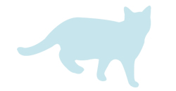 猫イメージ
