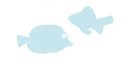 魚イメージ